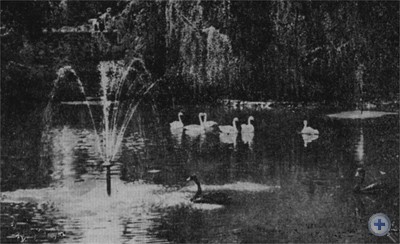 Озеро в Стрыйском парке. Львов, 1975 г.