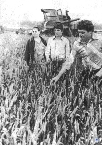 Депутатский пост на пшеничном поле колхоза им. Н. К. Крупской. Сергеевка, 1980 г.