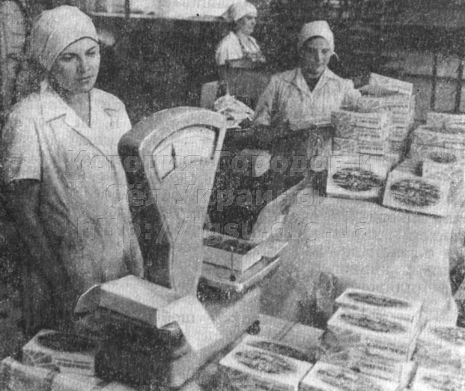 На заводе продовольственных товаров. Ольшана Недригайловского района, 1979 г.